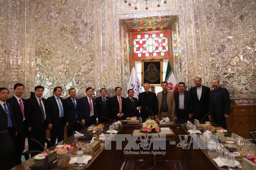 越南国会副主席杜伯巳对伊朗进行正式访问 ảnh 1 越南国会副主席杜伯巳对伊朗进行正式访问 ảnh 1