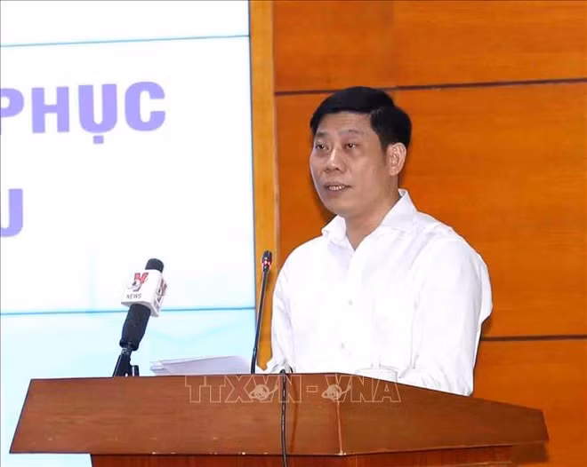 越南各地采取紧急措施解决欧盟委员会“黄牌”警告问题 ảnh 2