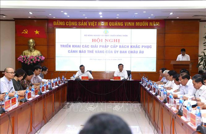 越南各地采取紧急措施解决欧盟委员会“黄牌”警告问题 ảnh 1 越南各地采取紧急措施解决欧盟委员会“黄牌”警告问题 ảnh 1