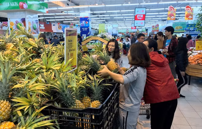 由于主打商品的出口下降 一季度越南出口活动放缓 ảnh 1