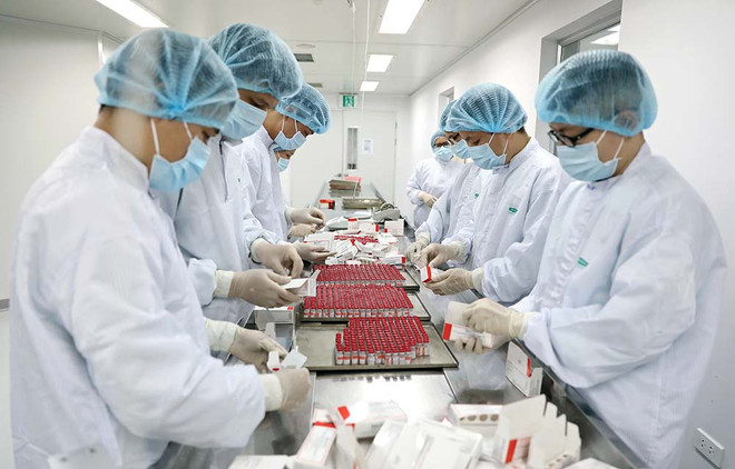 越南医药行业迎来新的投资热潮 ảnh 1 越南医药行业迎来新的投资热潮 ảnh 1