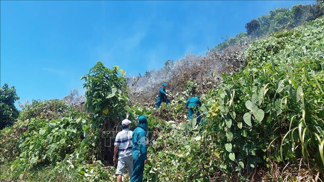 及时控制岘港海云山口火势 ảnh 1