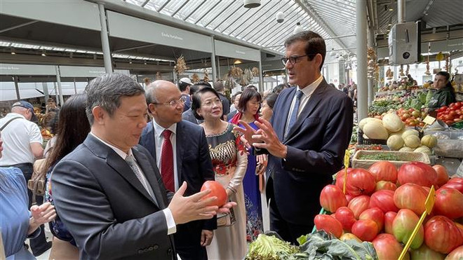 胡志明市与葡萄牙波尔图市承诺加强双边合作关系 ảnh 3  胡志明市与葡萄牙波尔图市承诺加强双边合作关系 ảnh 3