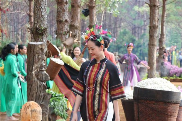 越南西原地区土锦布令人印象深刻 ảnh 1 越南西原地区土锦布令人印象深刻 ảnh 1