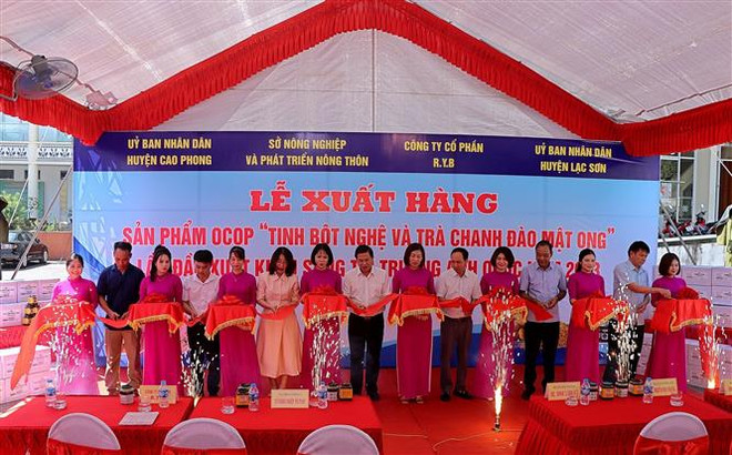 和平省姜黄淀粉和蜂蜜柠檬茶产品首次出口到英国 ảnh 1