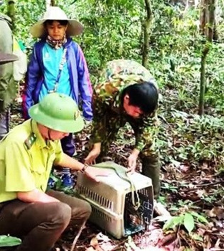 平福省将珍稀野生动物放归自然 ảnh 1