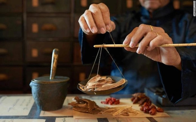 东盟与印度重新启动传统医学领域的合作 ảnh 1