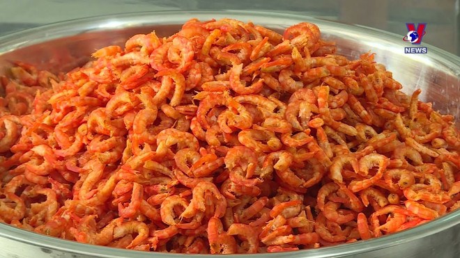 金瓯省首次举行虾节 ảnh 1