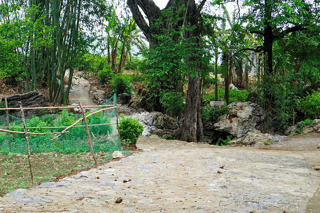 嘉寇村 —— 莱州市一块宝石 ảnh 2 嘉寇村 —— 莱州市一块宝石 ảnh 2