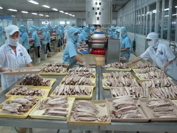 越南再次重申打击非法捕捞的承诺 ảnh 1 越南再次重申打击非法捕捞的承诺 ảnh 1