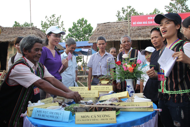 平福省少数民族文化与体育节精彩举行 ảnh 2