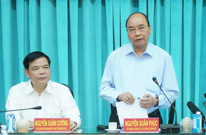 越南的民族基因就是坚强和不惧困难的精神 ảnh 1 越南的民族基因就是坚强和不惧困难的精神 ảnh 1