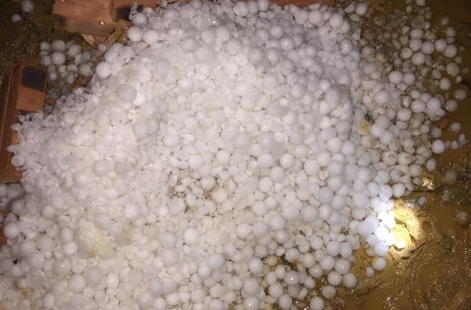 越南北部山区各省遭受冰雹袭击造成巨大损失 ảnh 2 越南北部山区各省遭受冰雹袭击造成巨大损失 ảnh 2