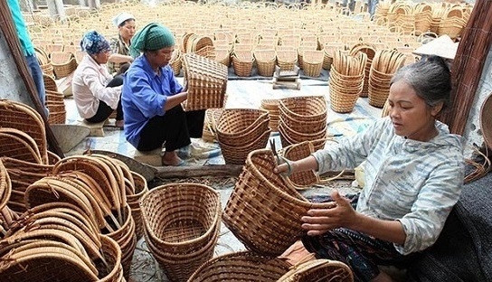 职业培训助力新农村建设 ảnh 1