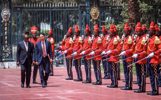 塞内加尔希望加强与越南在各领域合作 ảnh 2