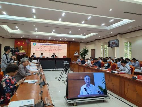 确保猪肉市场保供稳价 ảnh 2 确保猪肉市场保供稳价 ảnh 2