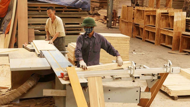 有效管理投入木材业的外资项目 ảnh 1