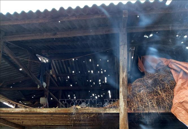 越南北部山区各省遭受冰雹袭击造成巨大损失 ảnh 1 越南北部山区各省遭受冰雹袭击造成巨大损失 ảnh 1