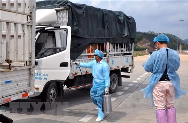 越南工贸部部长与广西壮族自治区党委书记通电话 就促进经贸合作深入交换意见 ảnh 1