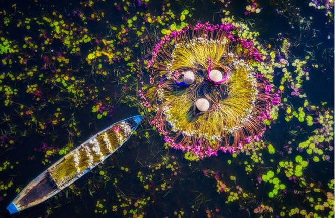 关于越南的5张照片入围史密森尼年度摄影大赛决赛 ảnh 1