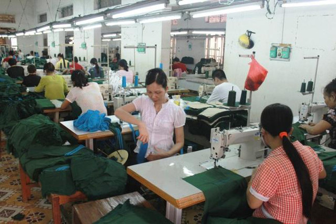 2020年河内市将为1.31万名农村劳动力进行初级职业培训 ảnh 1