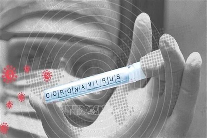 新冠肺炎疫情:河内白梅医院微生物科获准进行新冠病毒检测 ảnh 1 新冠肺炎疫情:河内白梅医院微生物科获准进行新冠病毒检测 ảnh 1