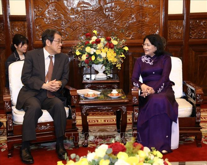越南国会主席阮氏金银会见日本驻越大使梅田邦夫 ảnh 2 越南国会主席阮氏金银会见日本驻越大使梅田邦夫 ảnh 2
