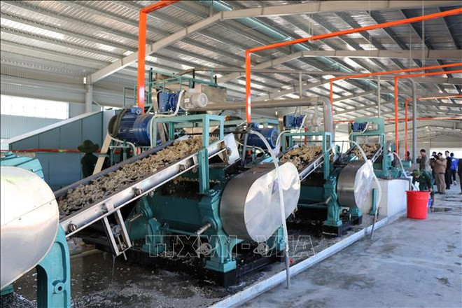 越南橡胶工业集团在越南北部投资兴建三个加工厂 ảnh 1 越南橡胶工业集团在越南北部投资兴建三个加工厂 ảnh 1