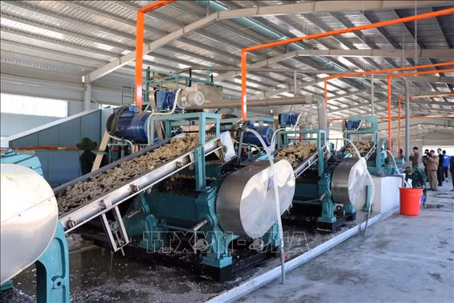 越南橡胶工业集团在越南北部投资兴建三个加工厂 ảnh 1 越南橡胶工业集团在越南北部投资兴建三个加工厂 ảnh 1