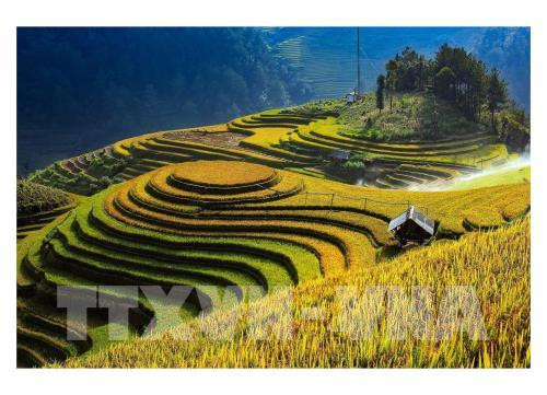 社区旅游成为安沛省木江界发展新走向 ảnh 1 社区旅游成为安沛省木江界发展新走向 ảnh 1