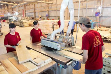 越南木材加工业发展潜力巨大 ảnh 1