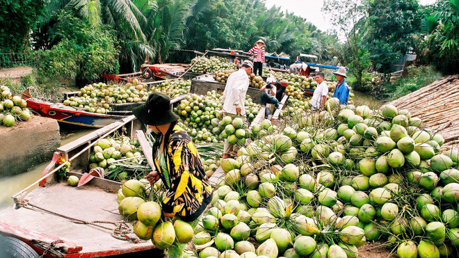 槟椥省发展多项具有优势的旅游形式 ảnh 1 槟椥省发展多项具有优势的旅游形式 ảnh 1