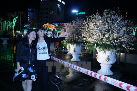 海防——日本文化交流会拉开序幕 ảnh 1