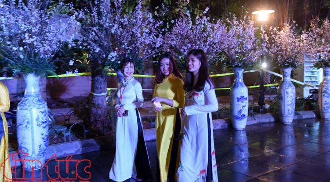 日本文化交流会暨樱花展在河内开幕 ảnh 2