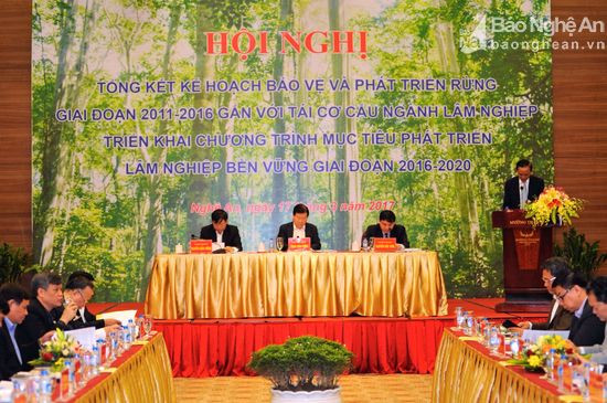 政府副总理郑廷勇指导展开林业可持续发展目标计划 ảnh 1 政府副总理郑廷勇指导展开林业可持续发展目标计划 ảnh 1