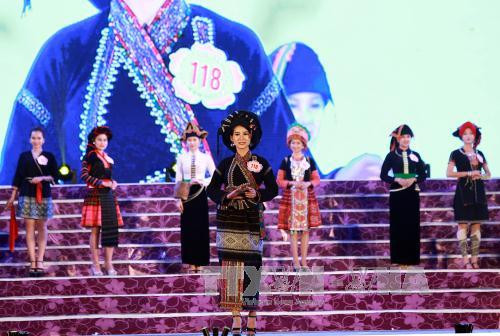 色彩缤纷热闹非凡的2017年洋紫荆花节留住游客的脚步 ảnh 2