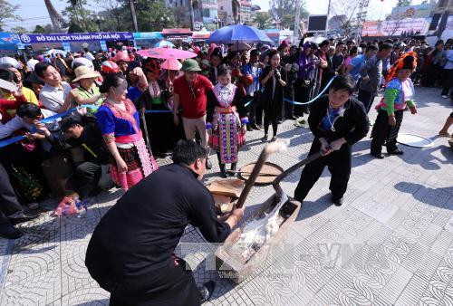 色彩缤纷热闹非凡的2017年洋紫荆花节留住游客的脚步 ảnh 1