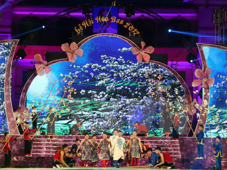 2017年洋紫荆花节拉开序幕 ảnh 1