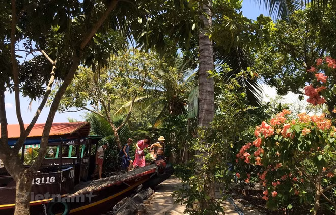 破解制约九龙江三角洲旅游业发展的瓶颈 ảnh 1 破解制约九龙江三角洲旅游业发展的瓶颈 ảnh 1