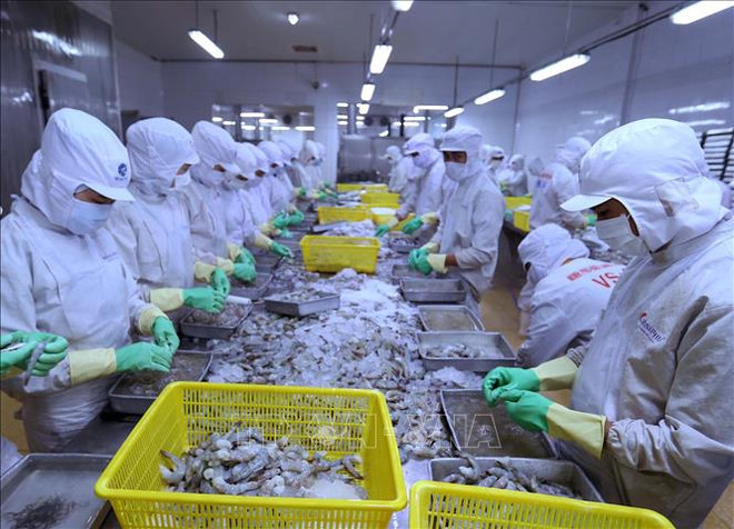 越南对以色列贸易顺差继续扩大 ảnh 1 越南对以色列贸易顺差继续扩大 ảnh 1