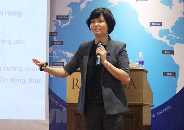 RCEP:越南企业的机遇与挑战 ảnh 2 RCEP:越南企业的机遇与挑战 ảnh 2