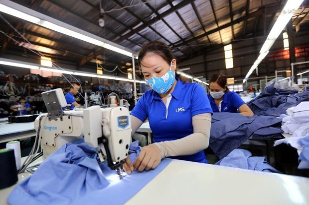RCEP:越南企业的机遇与挑战 ảnh 1 RCEP:越南企业的机遇与挑战 ảnh 1