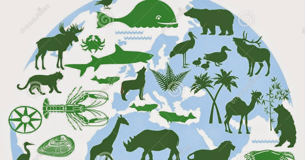 2019年国际生物多样性日:“我们的生物多样性,我们的食物,我们的健康” ảnh 1 2019年国际生物多样性日:“我们的生物多样性,我们的食物,我们的健康” ảnh 1