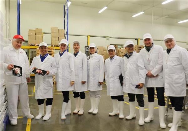 俄罗斯布良斯克州承诺为越南企业创造便利条件 ảnh 1