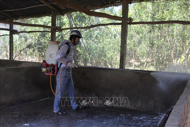河内等省市对有效防控非洲猪瘟措施进行探讨 ảnh 1 河内等省市对有效防控非洲猪瘟措施进行探讨 ảnh 1