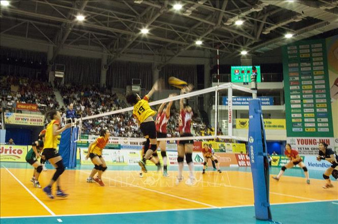 2019年平田VTV9杯国际女排比赛吸引国内外8支队参赛 ảnh 1