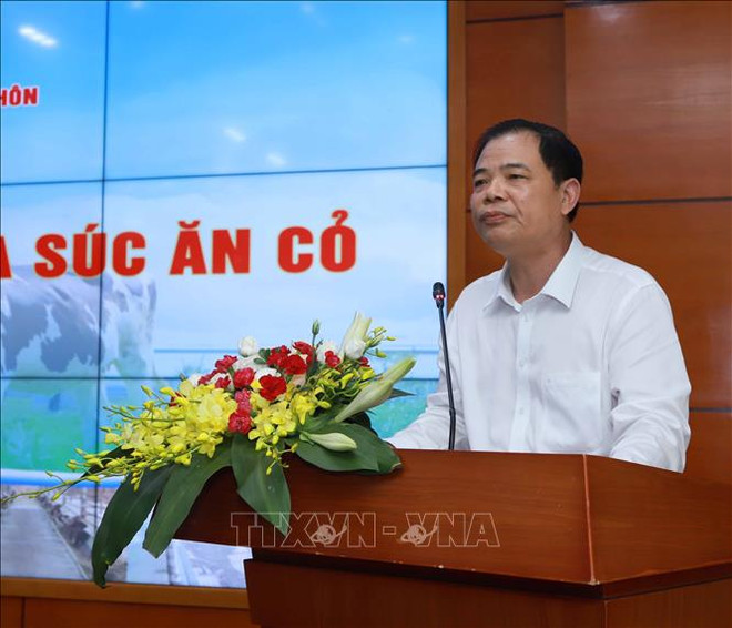 越南草食性牲畜发展潜力巨大 ảnh 2 越南草食性牲畜发展潜力巨大 ảnh 2