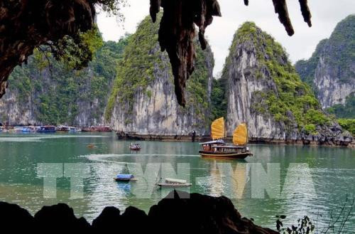 一季度越南接待韩国游客量超过100万人次 ảnh 1 一季度越南接待韩国游客量超过100万人次 ảnh 1