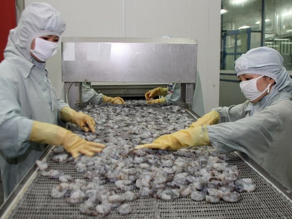 充分利用CPTPP加大虾类产品对加拿大出口力度 ảnh 2 充分利用CPTPP加大虾类产品对加拿大出口力度 ảnh 2