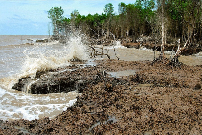 越南致力制定实施国家自主贡献支持计划 ảnh 1